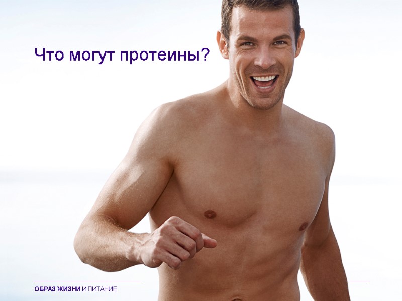 Что могут протеины? ОБРАЗ ЖИЗНИ И ПИТАНИЕ